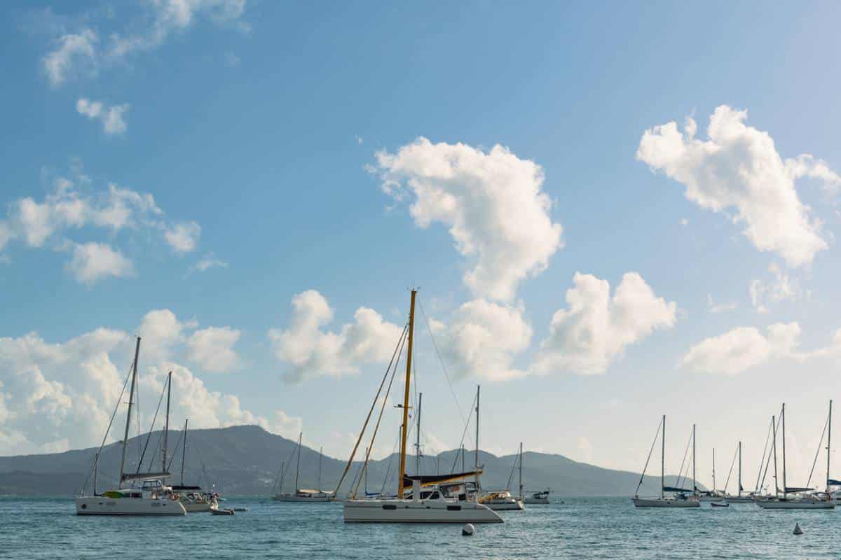 catamaran de luxe en martinique vivez les caraibes autrement